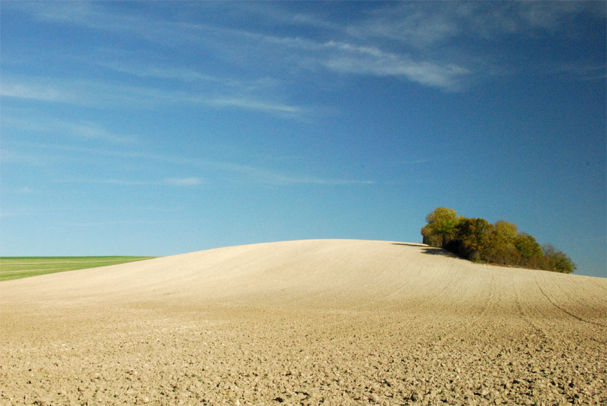 Photo de Piney-en-Champagne