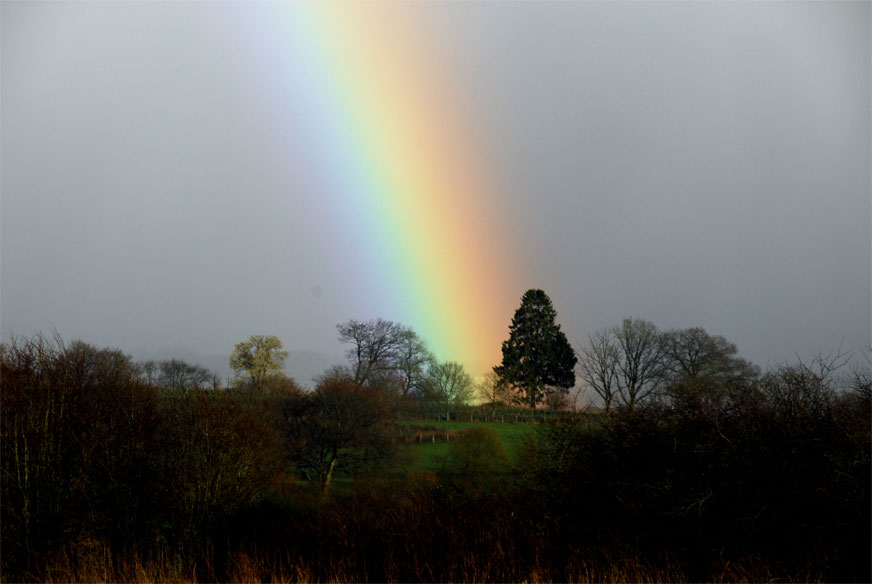 Photo d'un arc-en-ciel